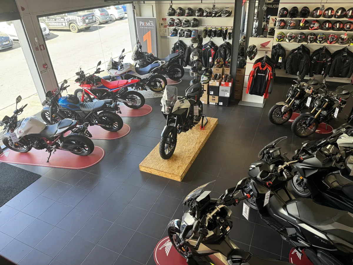 Stand da Equiponda em Ponta Delgada